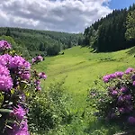 Rueckzugsort Am Teich In * Winterberg