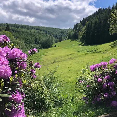 Rueckzugsort Am Teich In * ヴィンターベルク
