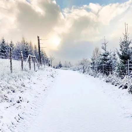 Rueckzugsort Am Teich In Holiday home Winterberg