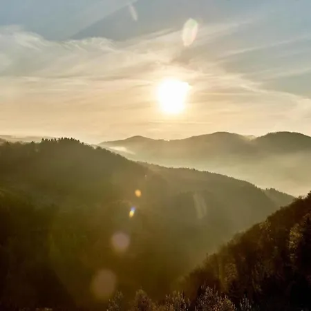 Rueckzugsort Am Teich In * Winterberg