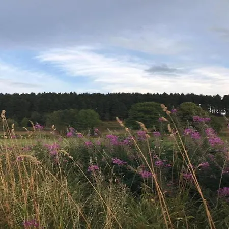 Tatil Evi Rueckzugsort Am Teich In