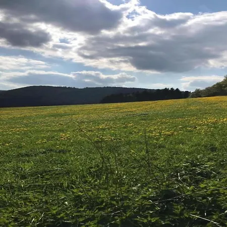 Feriehus Rueckzugsort Am Teich In