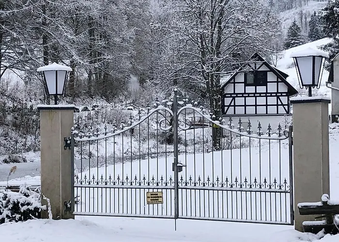 Rueckzugsort Am Teich In