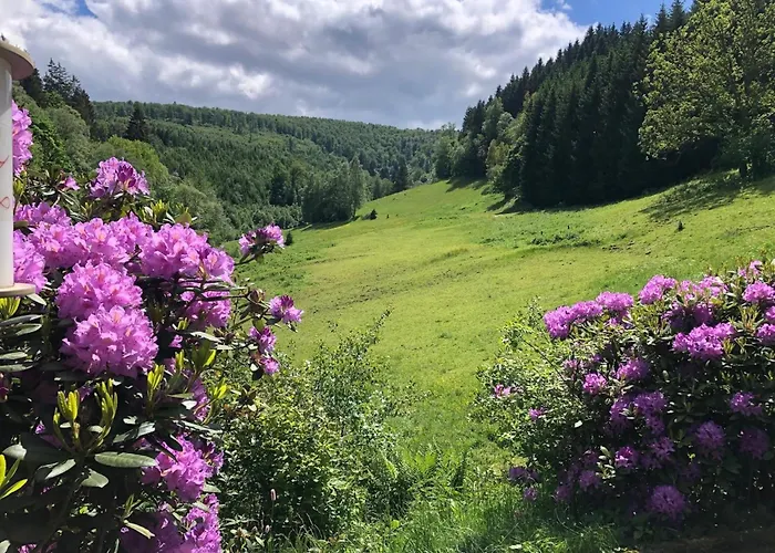 Rueckzugsort Am Teich In * ヴィンターベルク