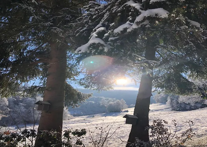 別荘 Rueckzugsort Am Teich In