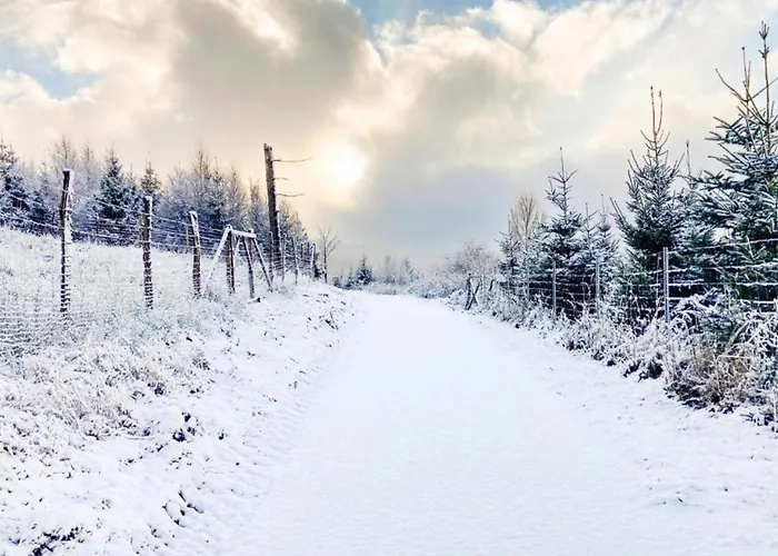 Rueckzugsort Am Teich In 別荘 ヴィンターベルク