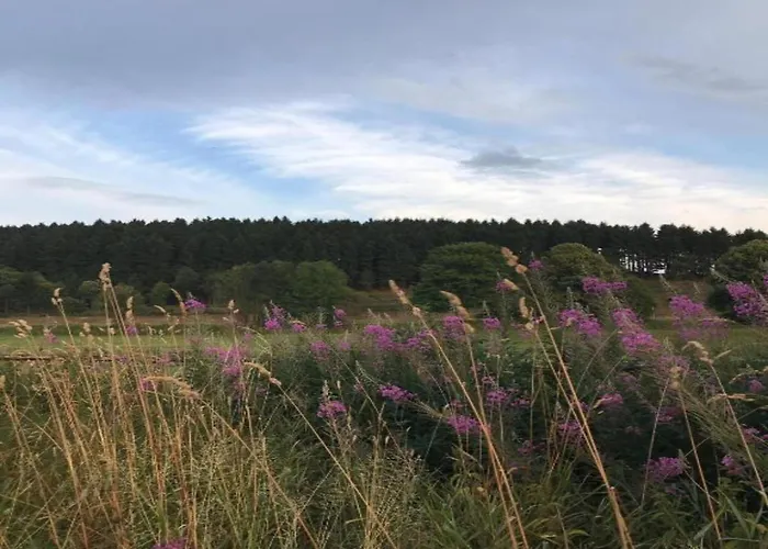 別荘 Rueckzugsort Am Teich In